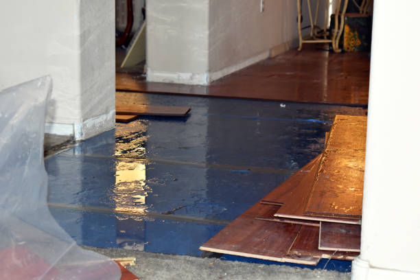 Professional Sewage Cleanup technician working in Truxton, MO